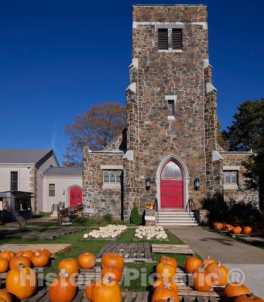 Photo - Fall White and Orange Pumpkins on Display in Portsmouth, New Hampshire- Fine Art Photo Reporduction