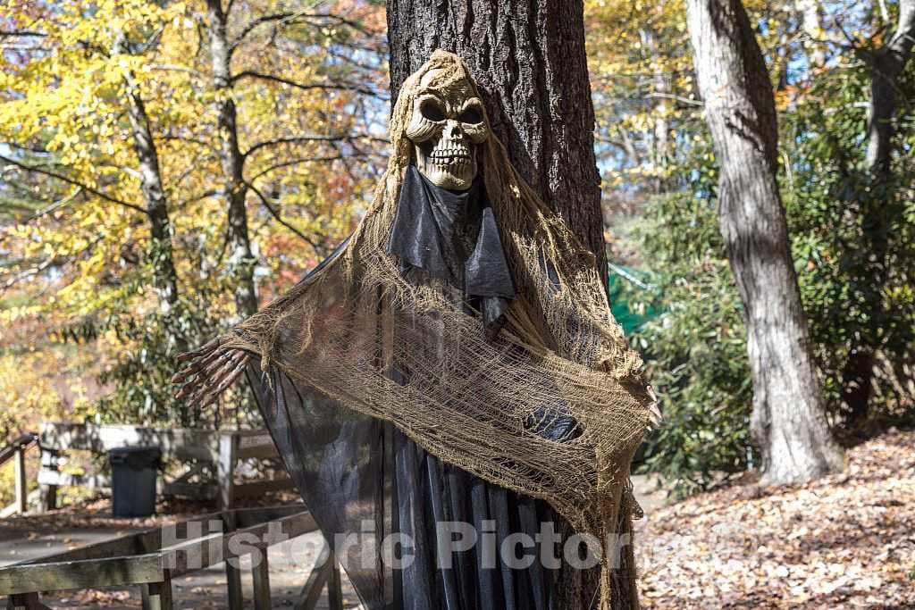 Photograph - Ghostly Figure,one of Several Spooky specters positioned for The American Halloween Season on The Grounds of The Hickory Ridge Living History Museum in Boone, North Carolina 2