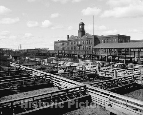 Kansas City Historic Black & White Photo, Livestock Exchange, c1906 -