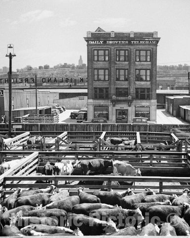 Historic Black & White Photo - Kansas City, Kansas - Kansas City Stockyards, c1936 -