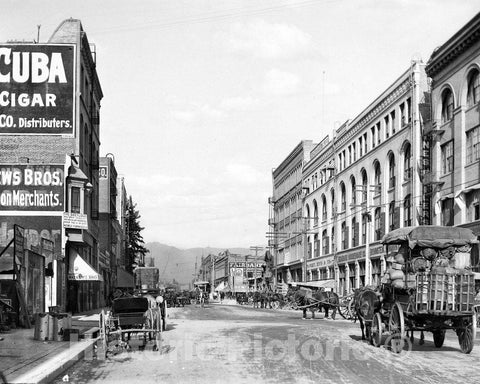 Historic Black & White Photo - Los Angeles, California - Traffic on Los Angeles Street, c1905 -