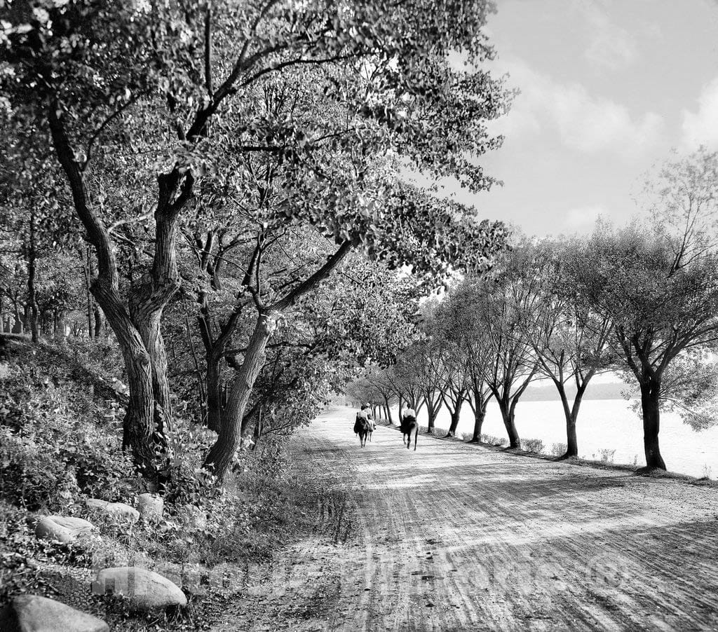 Minneapolis Historic Black & White Photo, Riding Along Calhoun Boulevard, c1908 -