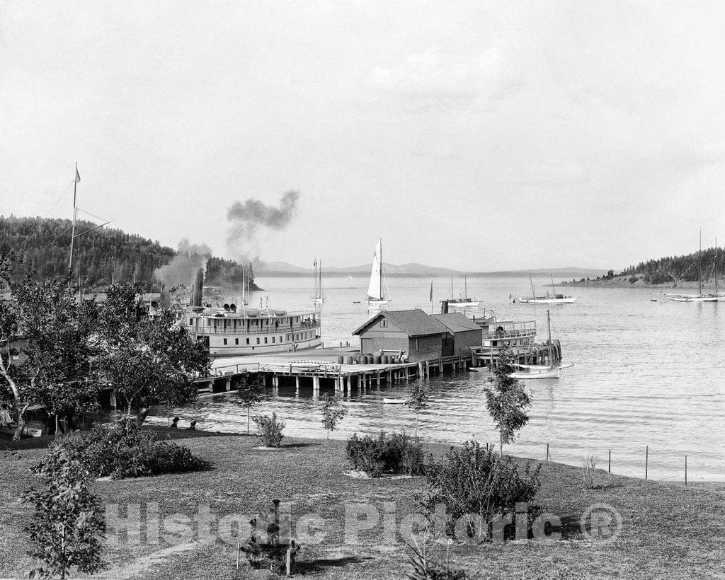 Historic Black & White Photo - Bar Harbor, Maine, c1901 -