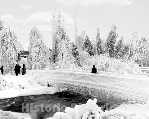 Historic Black & White Photo - Niagara Falls, New York - A frozen Luna Island, c1901 -