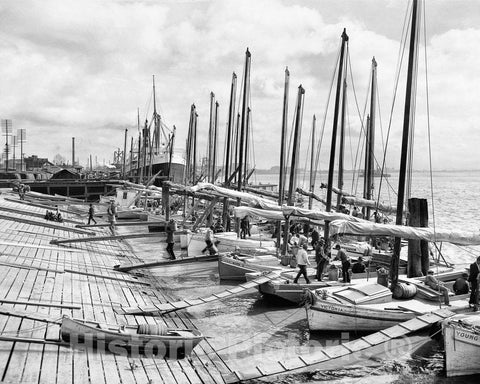 Historic Black & White Photo - New Orleans, Louisiana - Oyster Luggers, c1906 -