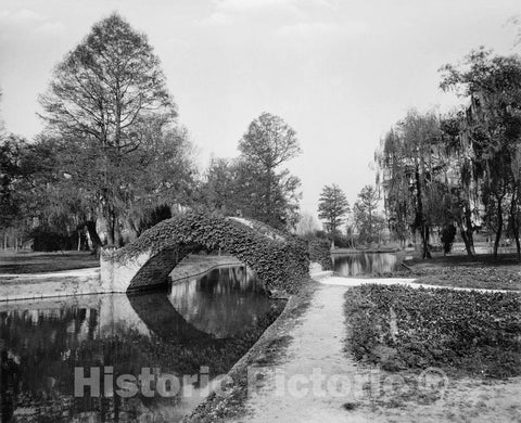 New Orleans Historic Black & White Photo, Bridge Over The Canal, City Park, c1910 -
