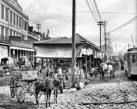 New Orleans Historic Black & White Photo, The French Market, c1906 -