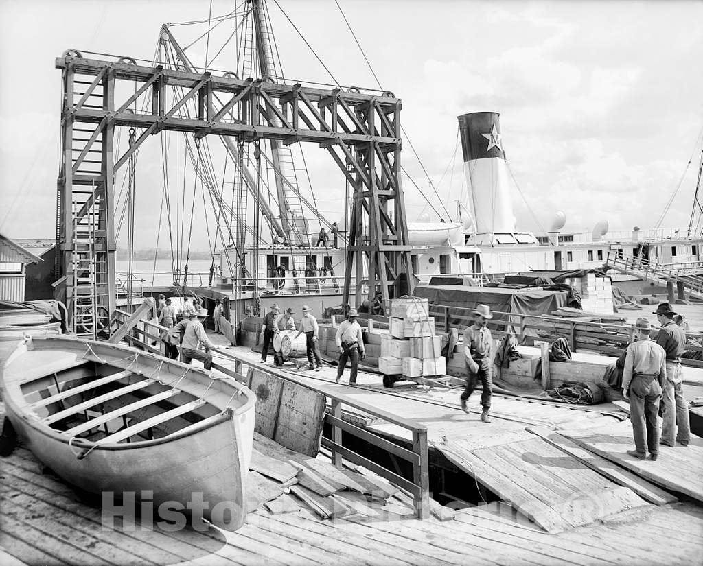 Historic Black & White Photo - New Orleans, Louisiana - Conveyors on the Docks, c1906 -