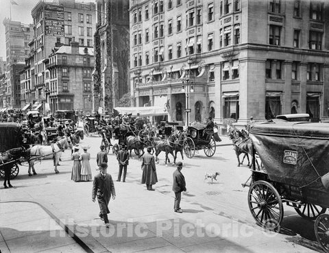 Historic Black & White Photo - New York City, New York - Belmont Coach on Fifth Avenue, c1905 -