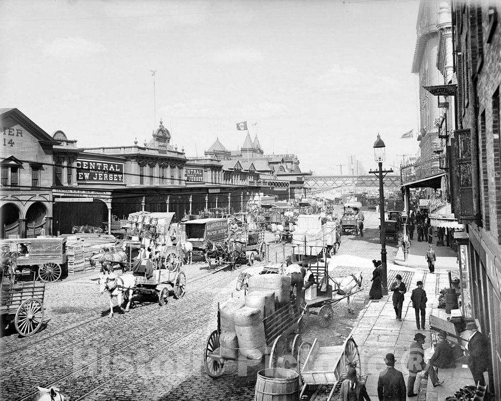 Historic Black & White Photo - New York City, New York - West Street, c1900 -