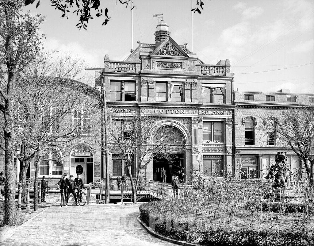 Savannah Historic Black & White Photo, Outside the Savannah Cotton Exchange, c1904 -