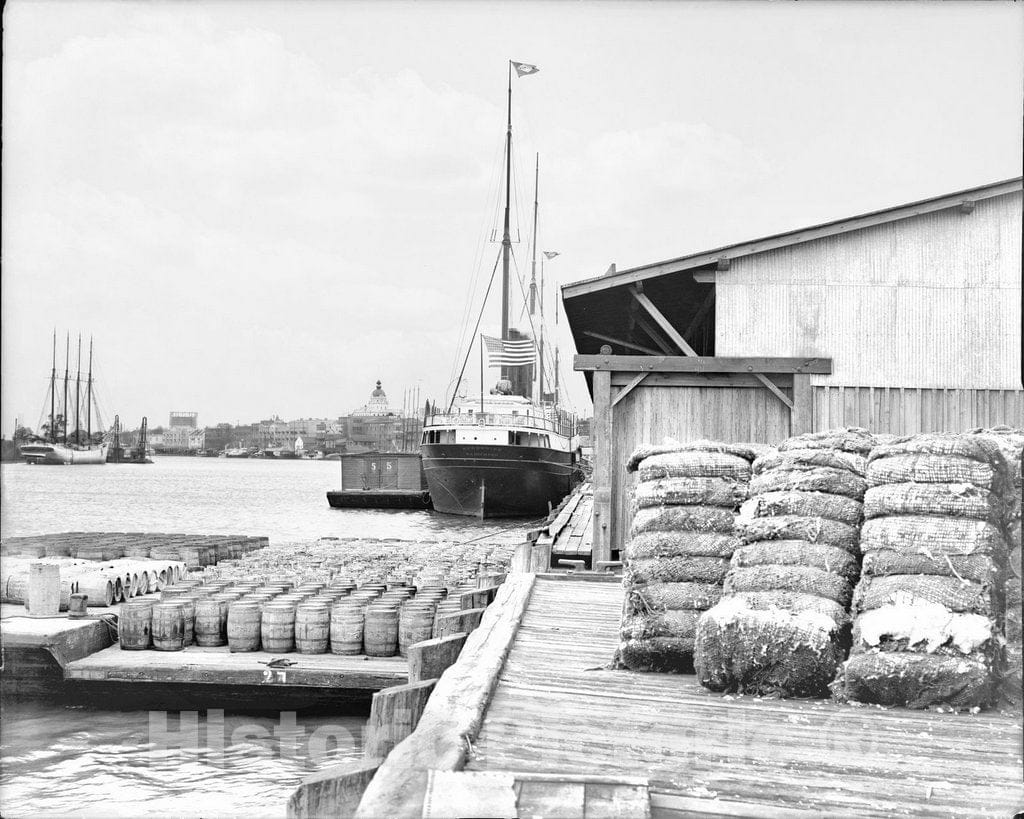 Historic Black & White Photo - Savannah, Georgia - The Cotton Docks, c1907 -