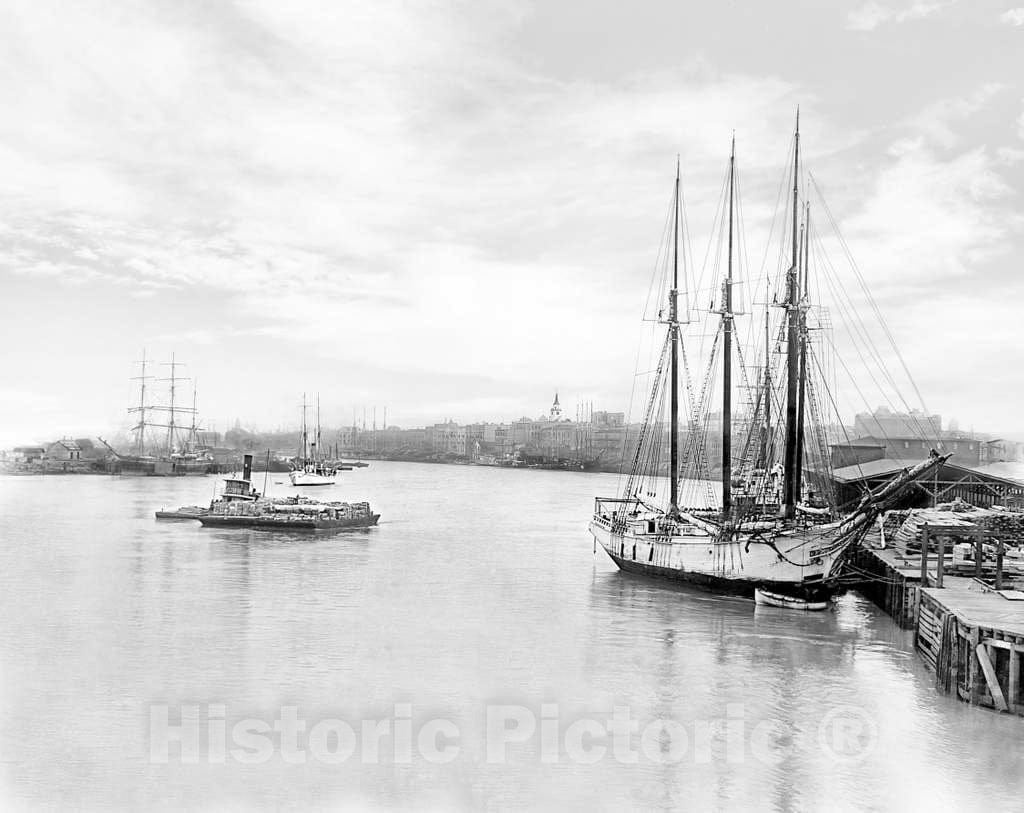 Historic Black & White Photo - Savannah, Georgia - On the Savannah River, c1900 -