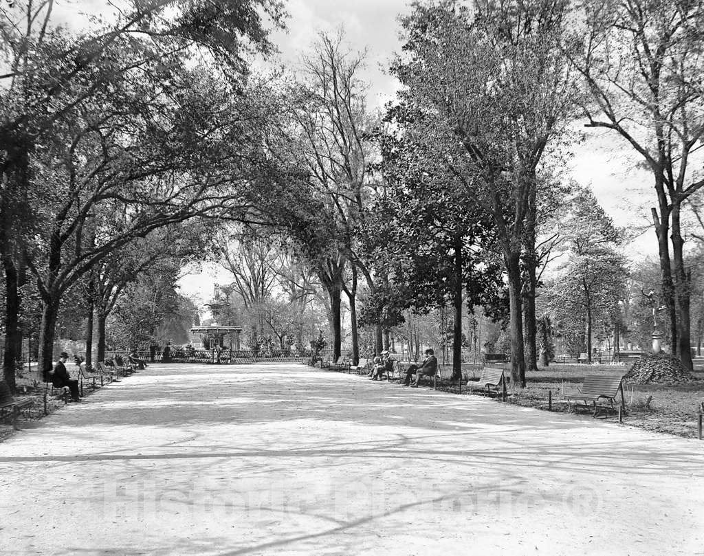 Historic Black & White Photo - Savannah, Georgia - The Fountain in Forsyth Park, c1901 -