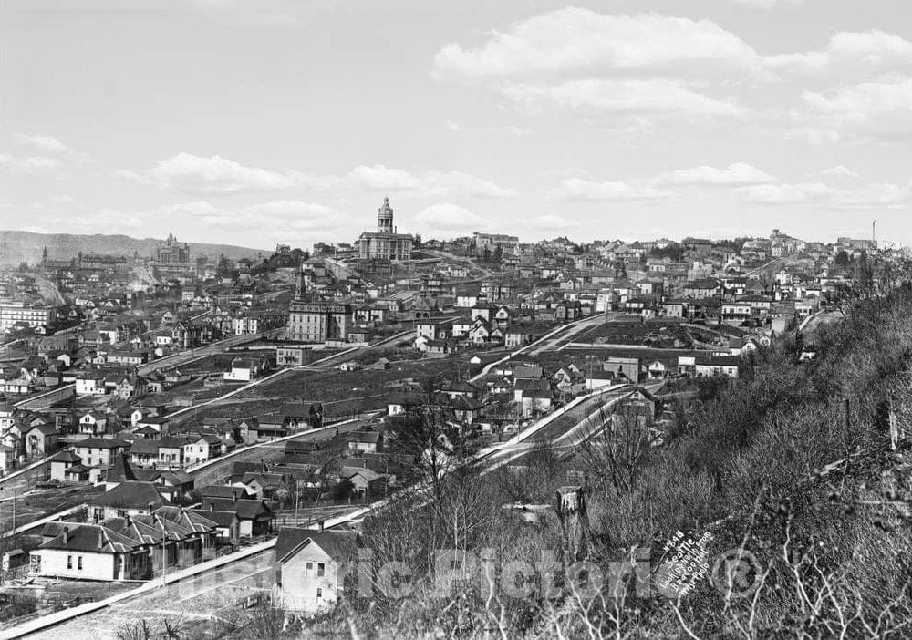 Historic Black & White Photo - Seattle, Washington - Overview from Beacon Hill, c1910 -