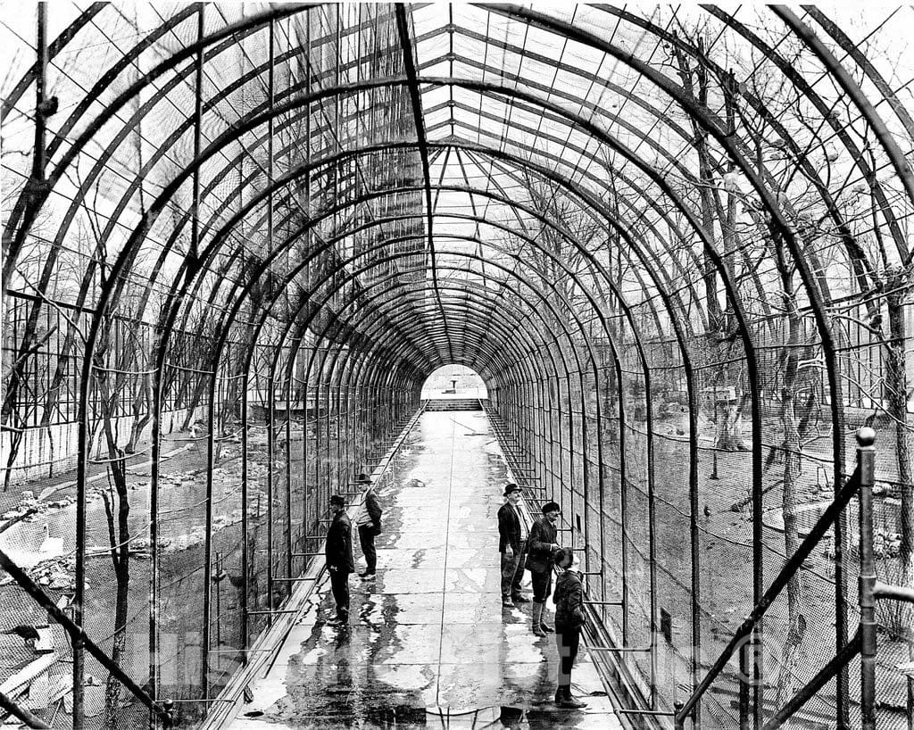 St. Louis Historic Black & White Photo, Inside the Bird Cage, St. Louis Zoo, c1922 -