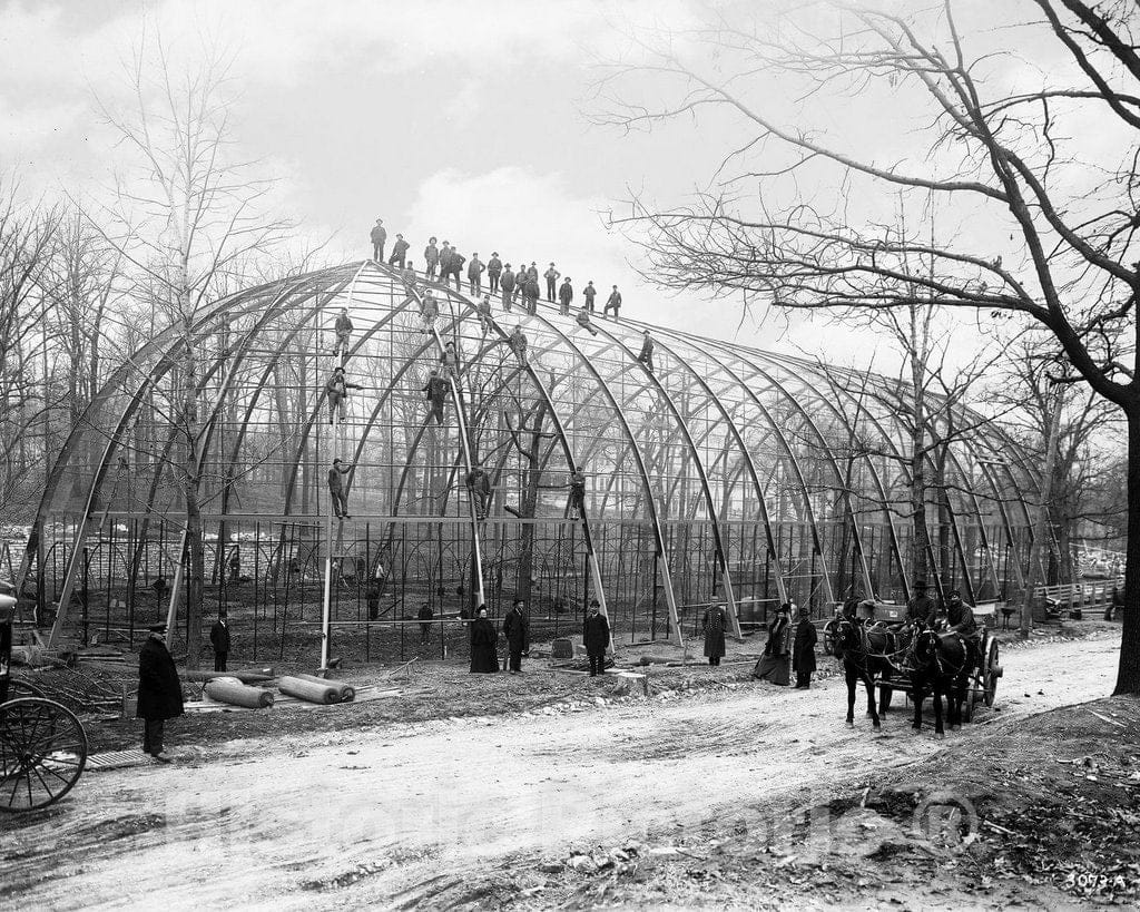 Historic Black & White Photo - St. Louis, Missouri - Erecting the U.S. Birdcage, c1904 -