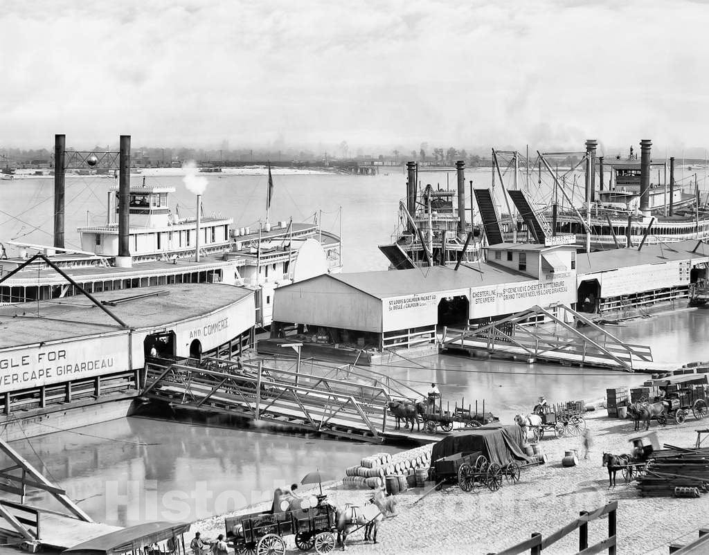 Historic Black & White Photo - St. Louis, Missouri - Steamboats on the Mississippi, c1903 -