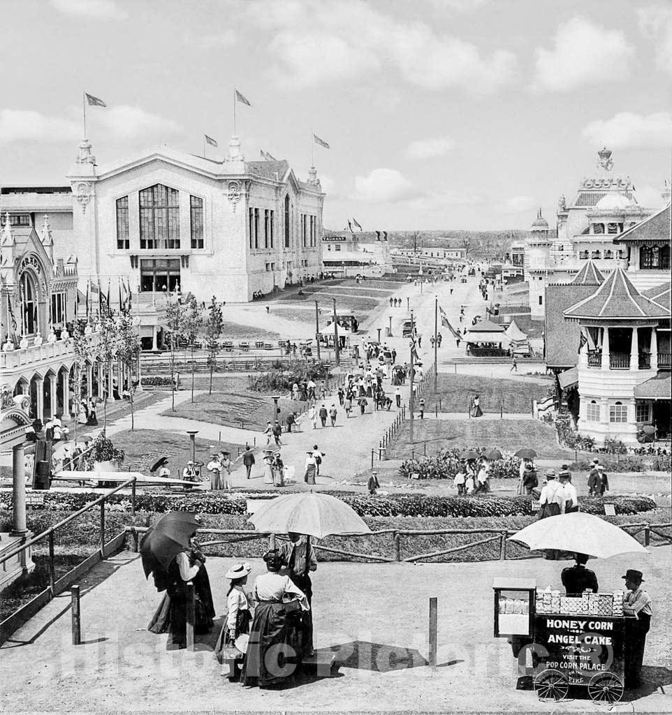 Historic Black & White Photo - St. Louis, Missouri - The Louisiana Purchase Exposition, c1904 -