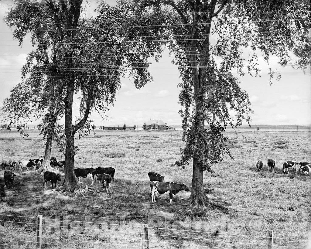 Historic Black & White Photo - Syracuse, New York - Looking to the Yacht Club, c1895 -