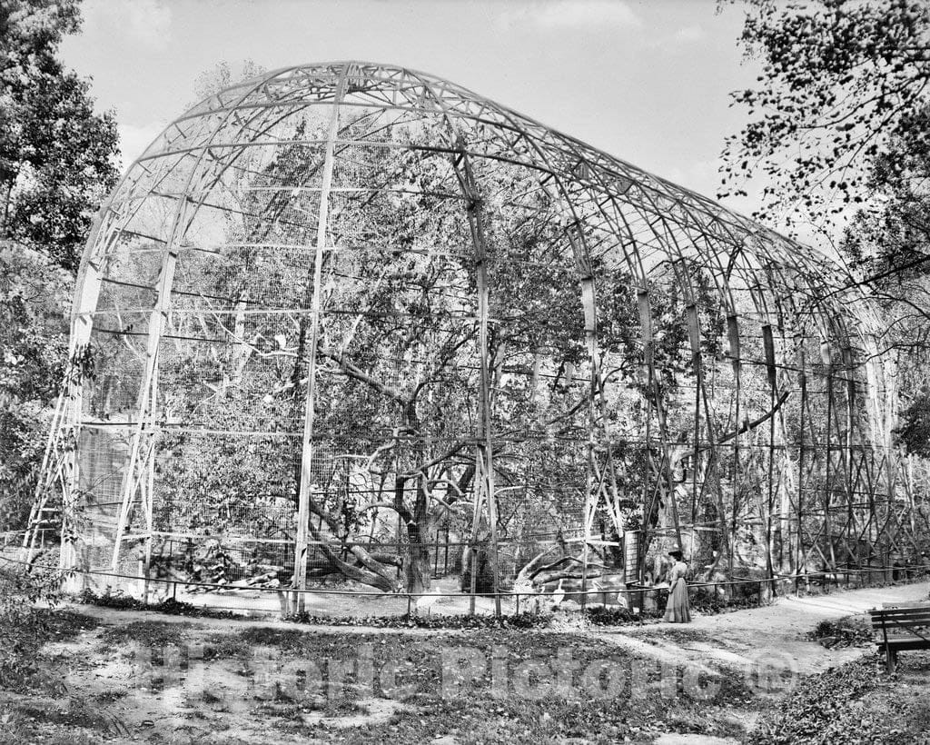 Historic Black & White Photo - Washington D.C, The First Flying Cage, c1908 -